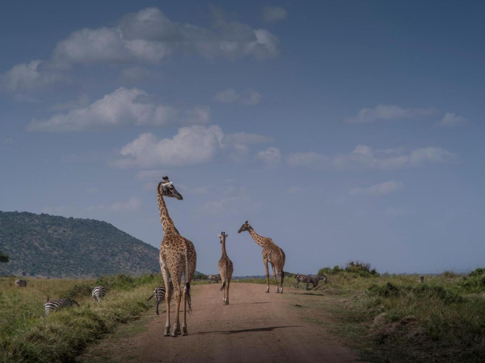 Kilima Camp - Safari In Masai Mara Villa Lolgorien Buitenkant foto